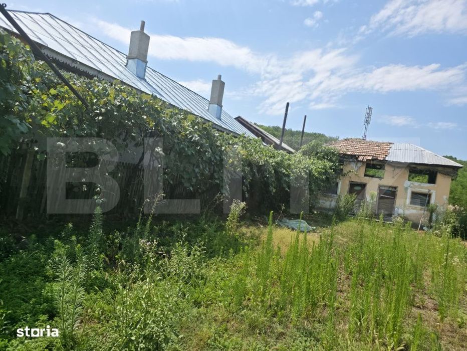 Teren 1.595 mp, constructii existente – Comuna Cobia,