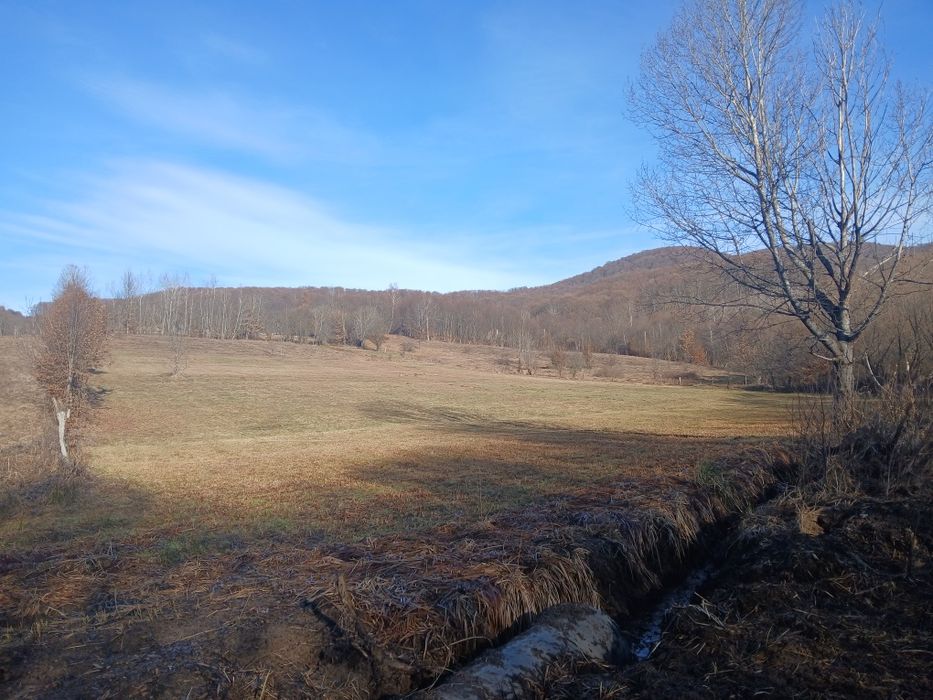 Teren de vânzare sovata