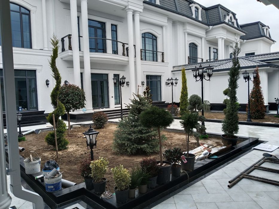 Газон ландшафтный дизайнер