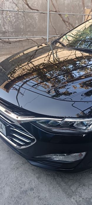Malibu premier 2021