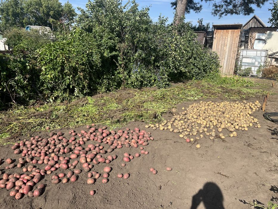 Продам дачу 6 общ 17 дачи