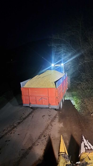 PORUMB BOABE 0,75 bani kg