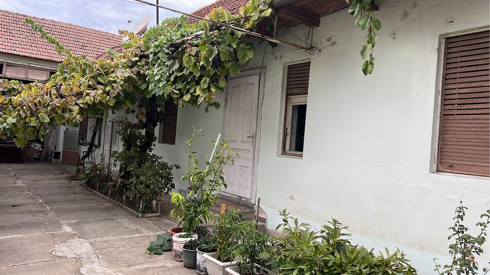 Dau in chirie spatiu pe Calea Timisorii nr 186 pretabil comert sau pr