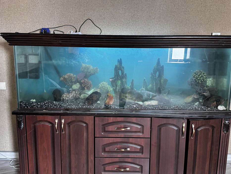 Аквариу 700 литров с тумбой, продается есть торг