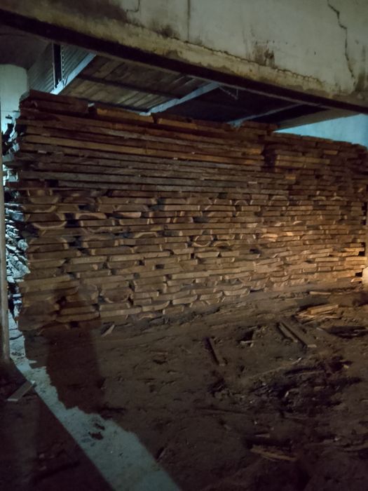 Карагач. Қарағаш