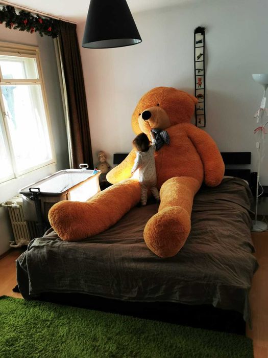 urs de plus gigant