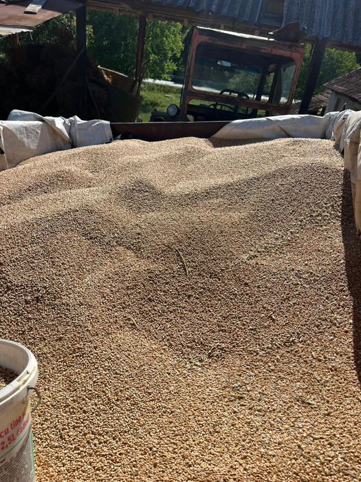 Grau fara azot ,erbicid,complex