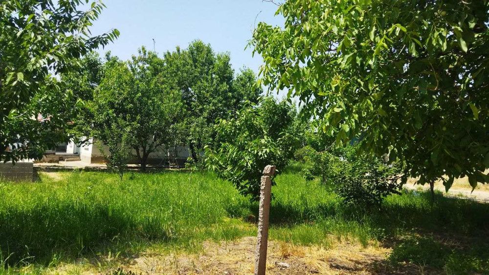 Продается жилой  участок 12 соток 4 комнат  кибрай  цена за соток