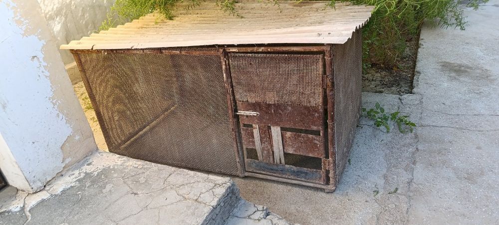 Товук катак сотилади