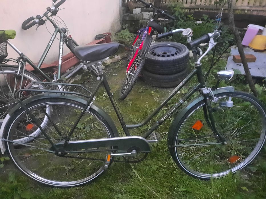Biciclete de Damă
