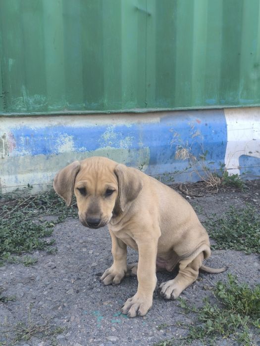 Только в ответственные руки.