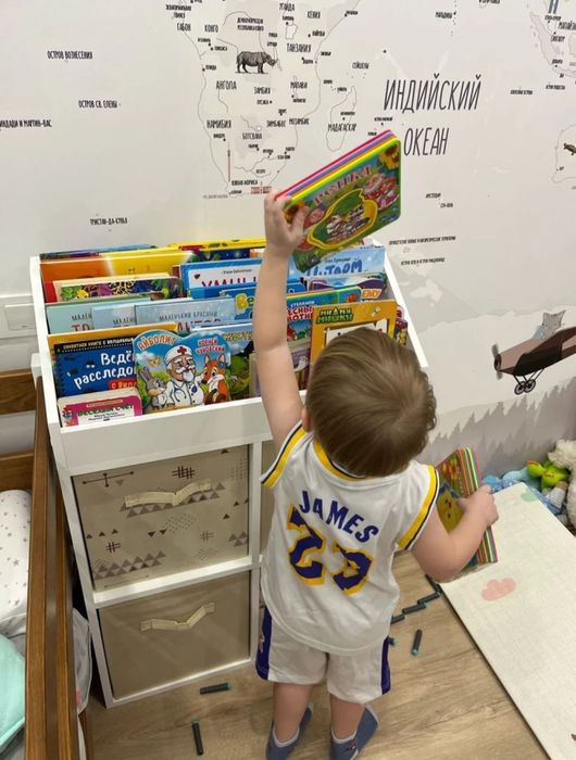 Стеллаж для игрушек и книг детской