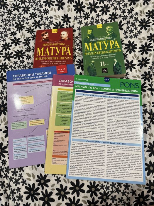 ДЗИ Бел-подготовка