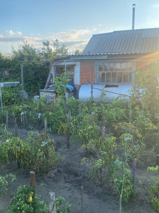 Продам дачу 17 маршрут, 1 общество