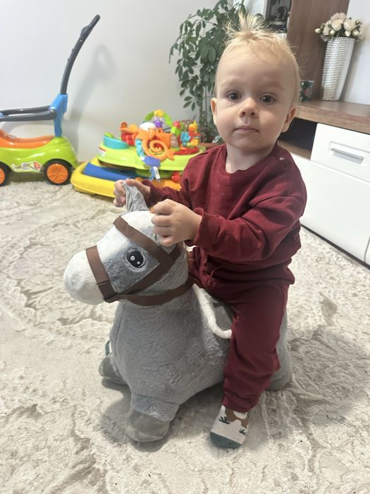 Надуваемо плюшено конче за яздене скачане