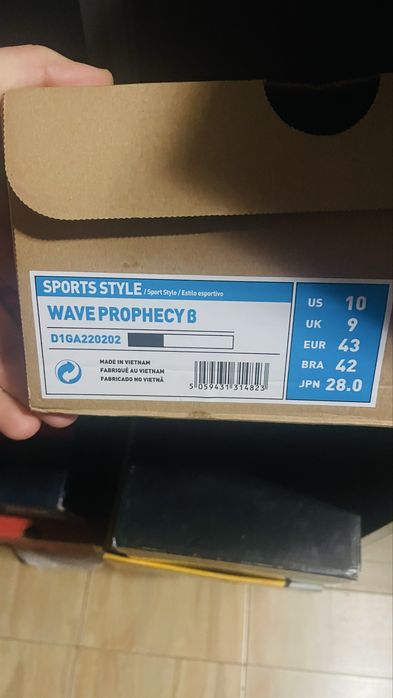 Mizuno Wave Prophecy