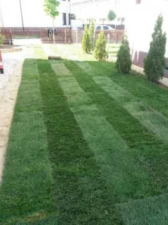 Gazon Rulou Sisteme de Irigare