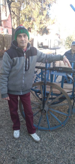 Trăsură pt căluț sau ponei