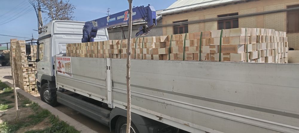 Gisht paltara termo gish