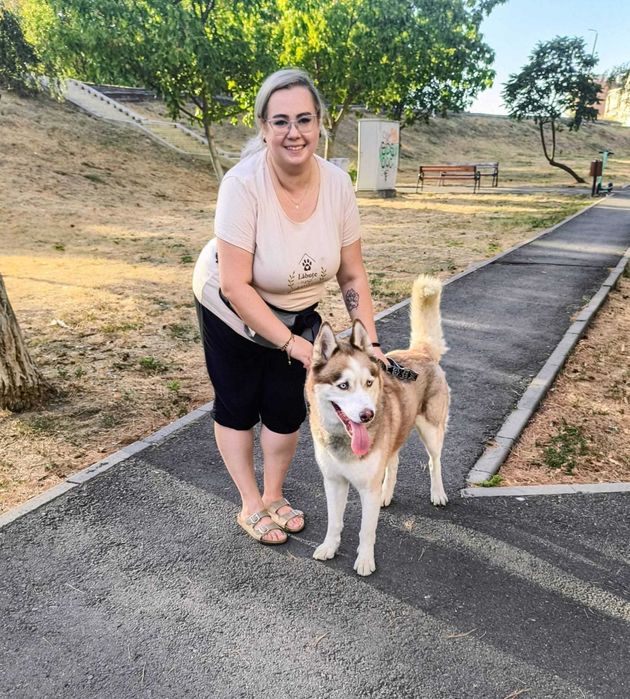 Pet sitter la domiciliul clientului, dog walker, transport animale, tratament veterinar de specialitate, animale exotice, verificare locuință