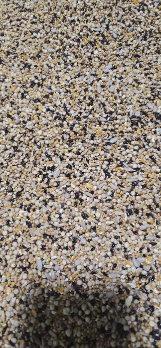 Корма и витамины для бедана