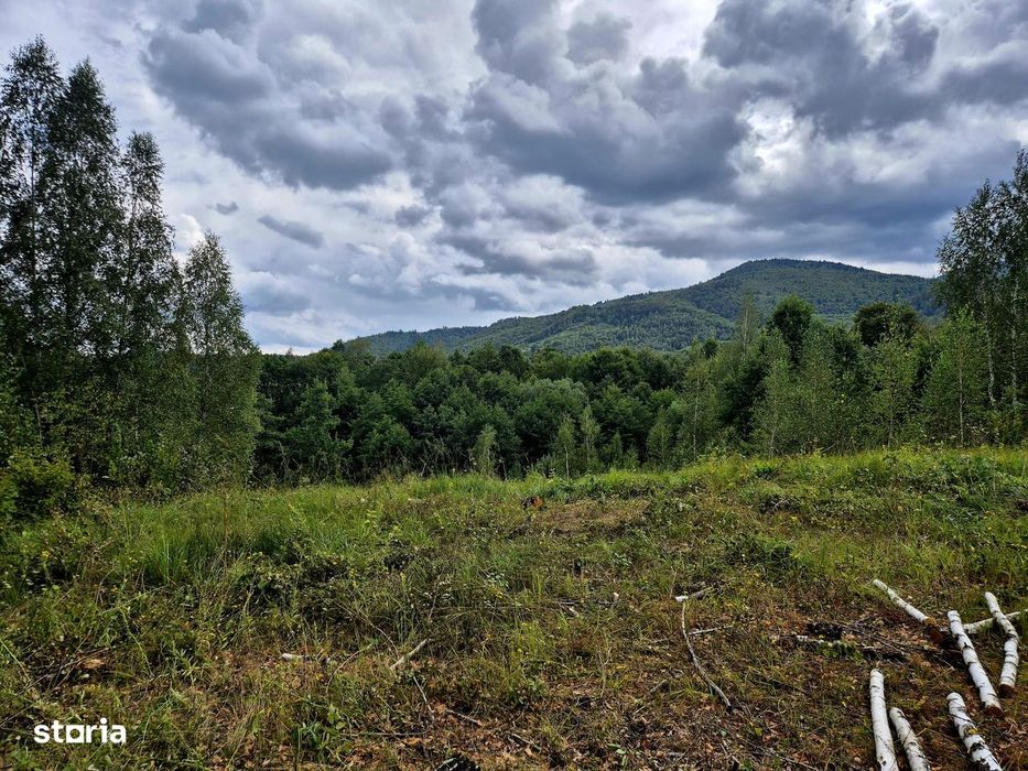Natura/ Cabana de weekend/liniste, relaxare la Sinca Noua Brasov