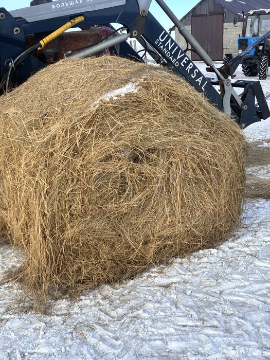 Продам рулоны сена