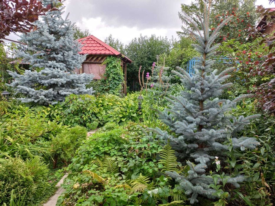 Продам дачу С/О "Восток"