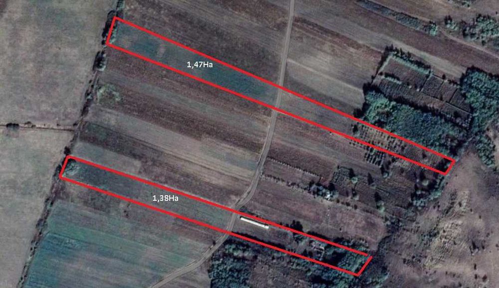 Teren Agricol Extravilan 2.83 ha Gura Bustii Vaslui