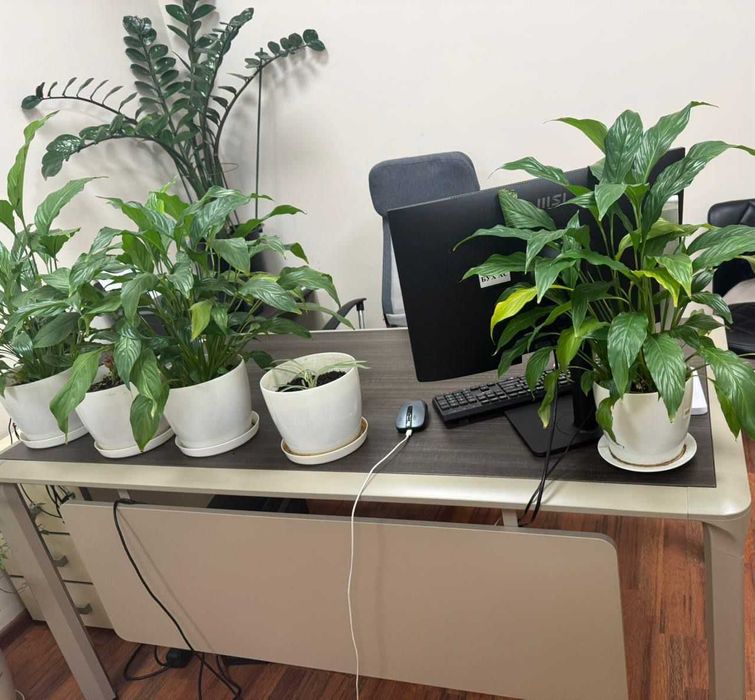 Офисный стол с тумбой