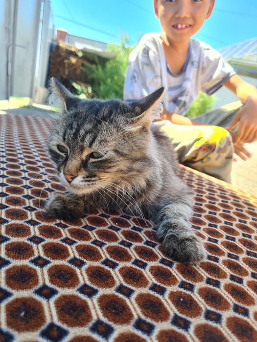 Алматы облсы карасаи ауданы турар аулы