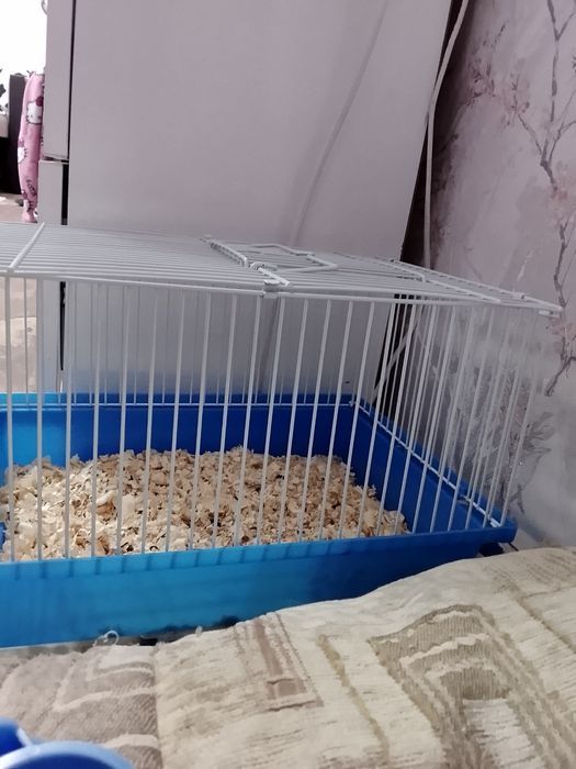 Продаю клетку для хомяка
