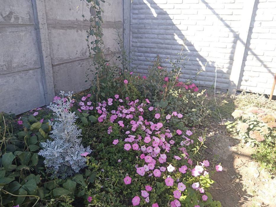 Продам частный дом