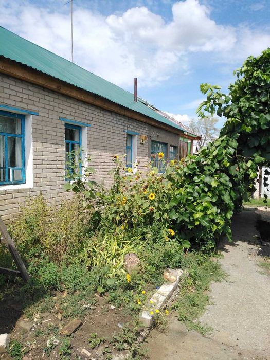 Продать дом в Аулиеколе