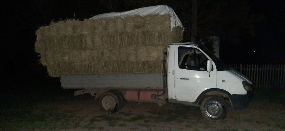 Сено с доставкои