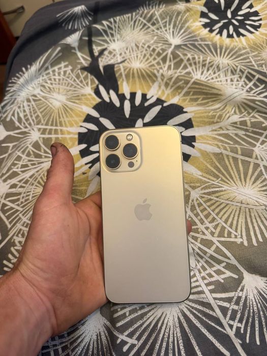 Iphone 13 pro max 256 100%
