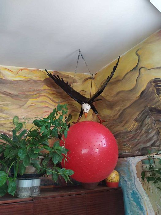 Декоративные украшение для садового участка.