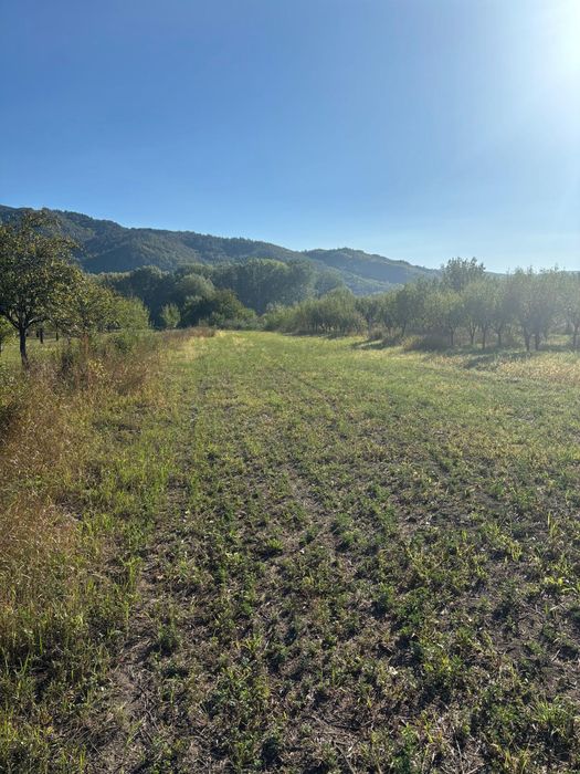 TEREN INTRAVILAN  de vânzare în Pătârlagele/Buzău