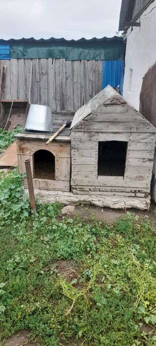 Продам будку для собаки