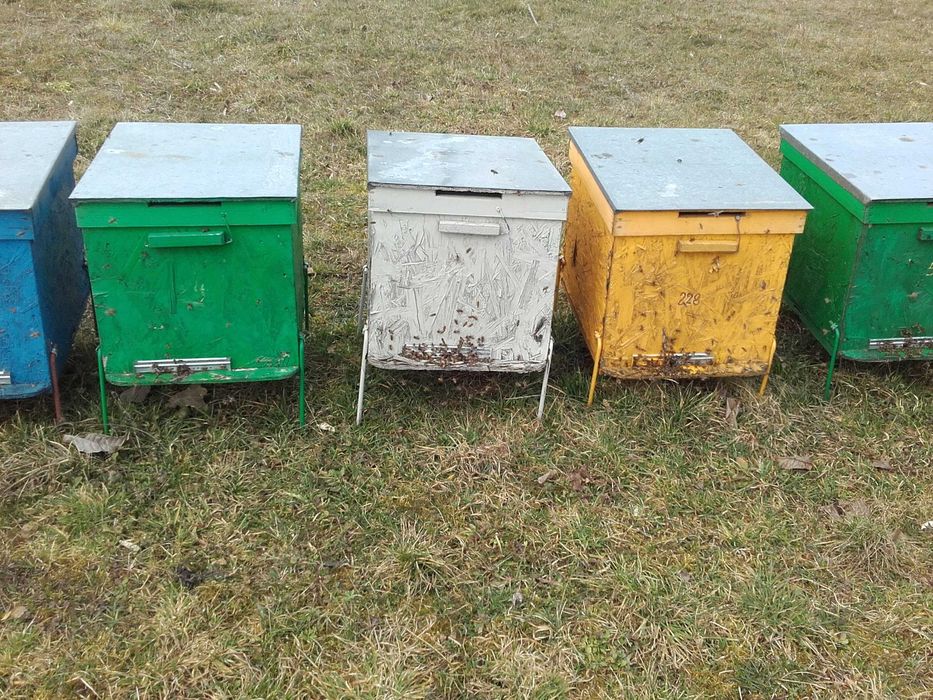 Vând 100 familii de albine