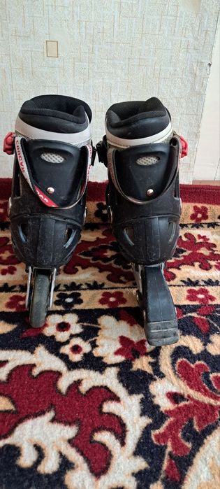 Rolik sotiladi cougar