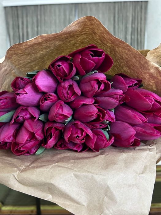 Тюльпаны оптом и в розницу КАСПИ РЕД есть