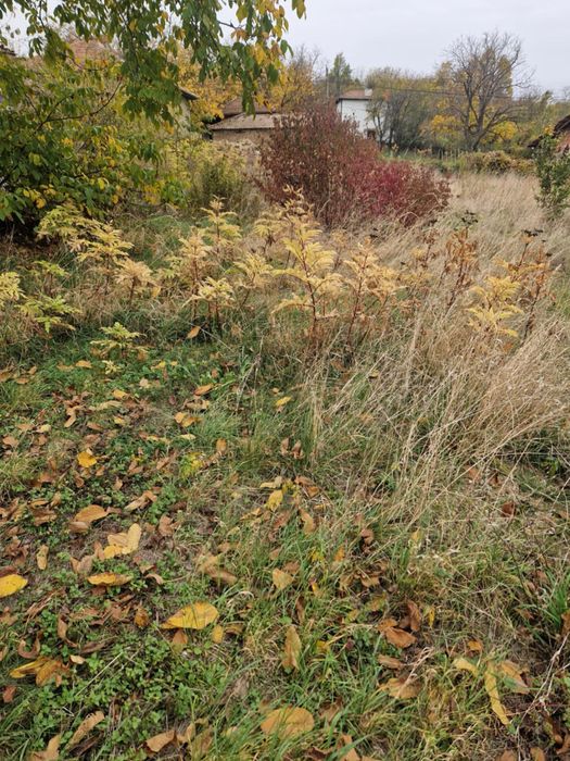 УПИ в село Крушево на 5 км. от гр. Севлиево