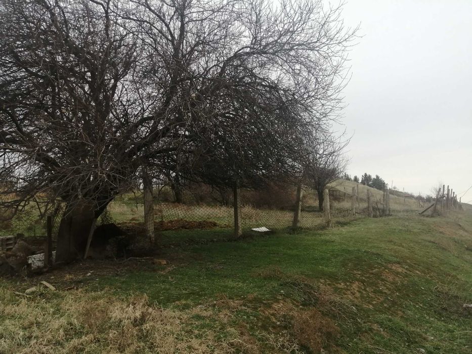 Дача (Навбахор, СВТ Дустлик) Жумабозор, 5 км от Нового Ташкента