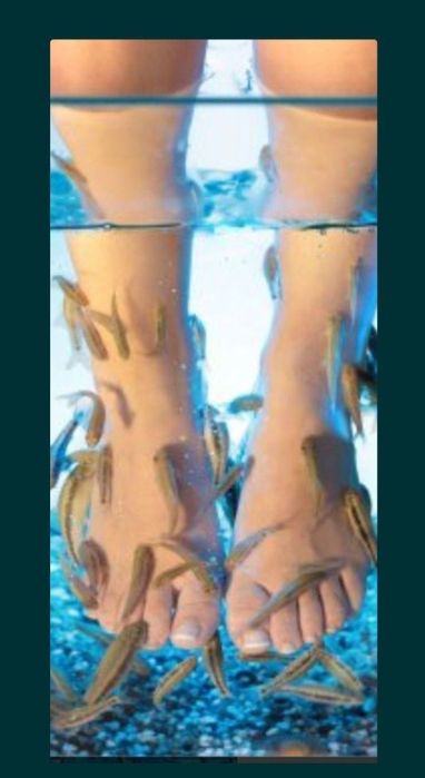 Гара руфа фиш спа рибки garra rufa fish spa