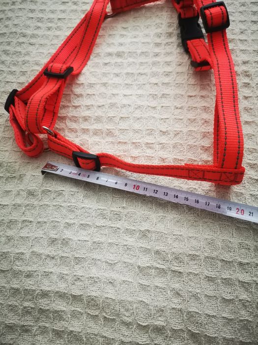 Повод, нагръдник за куче