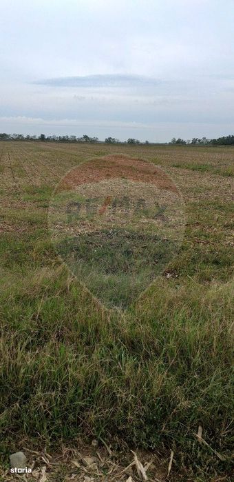 Teren extravilan 3000mp de vânzare la Sântion