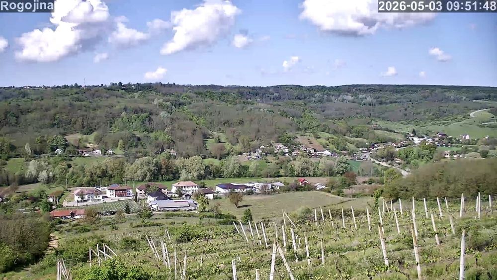 Vând domeniu Viticol si Crama in podgoria Dragasani