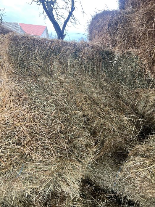 Vând baloți de fân