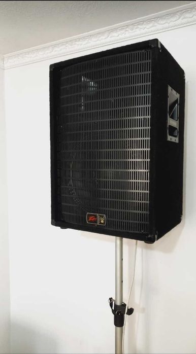 Эстрадные колонки 2*450 Вт